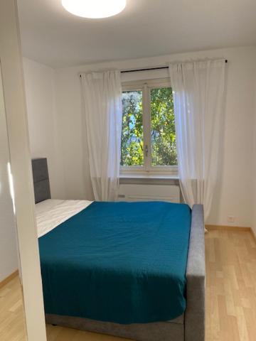 Holiday home Casa Via Saleggi 10 Ascona